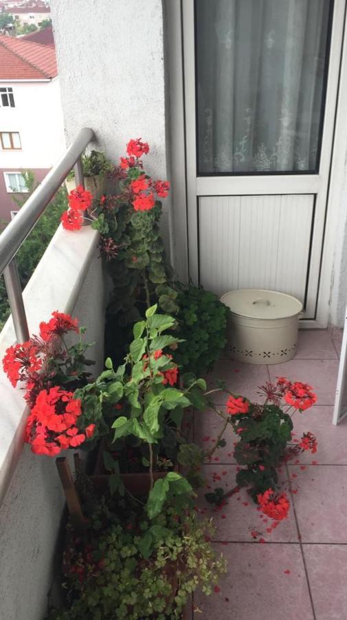 Single Room, Одноместная Комната В Доме, Chambre D'Une Personne, Habitacion Individual Stambuł Zewnętrze zdjęcie